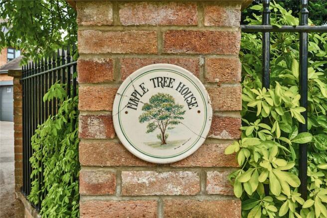 Maple Tree House