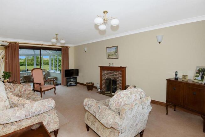 15IvyClose16.jpg