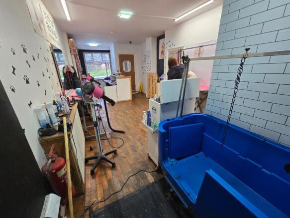 Shop Main Room