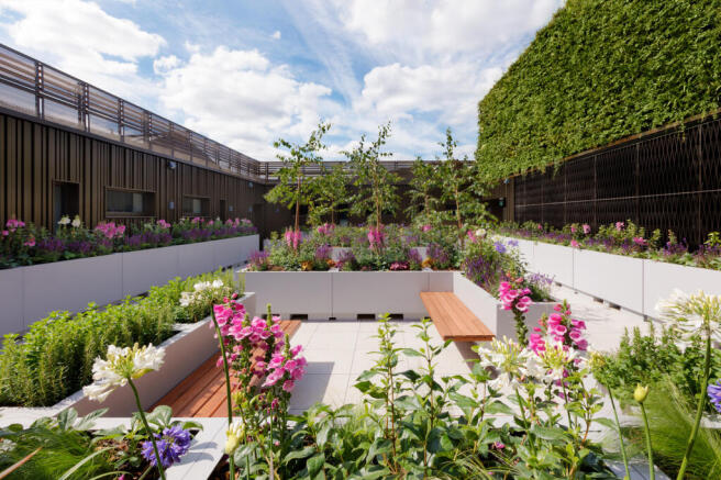 Carnaby Lofts communal roof top garden