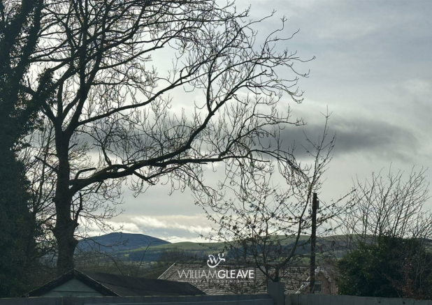 View1.png