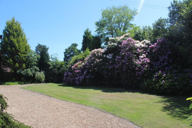 Photo 13