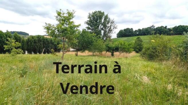 Paysage champêtre avec arbres et herbe sous un cie