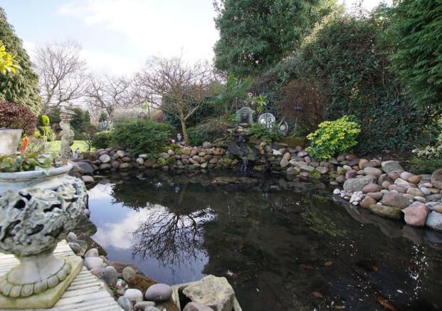Pond