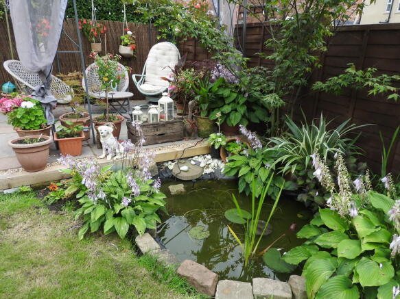 Photo 11