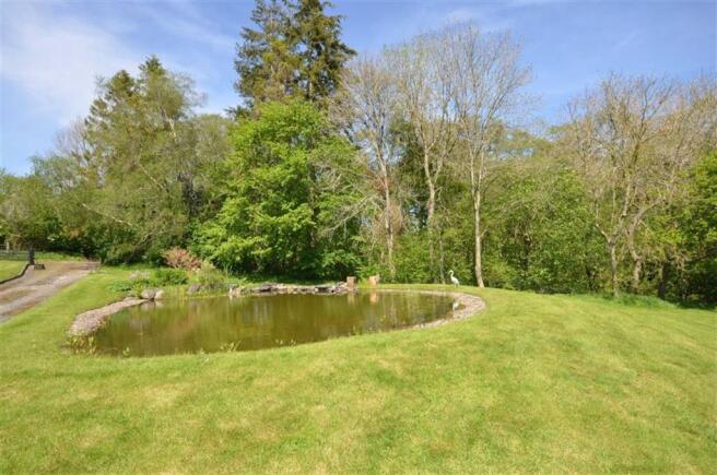POND