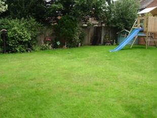 Garden1
