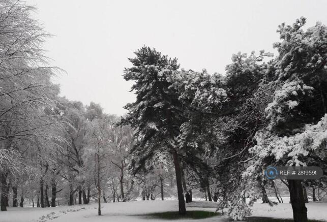 Surrounding Areas - Wombwell Park