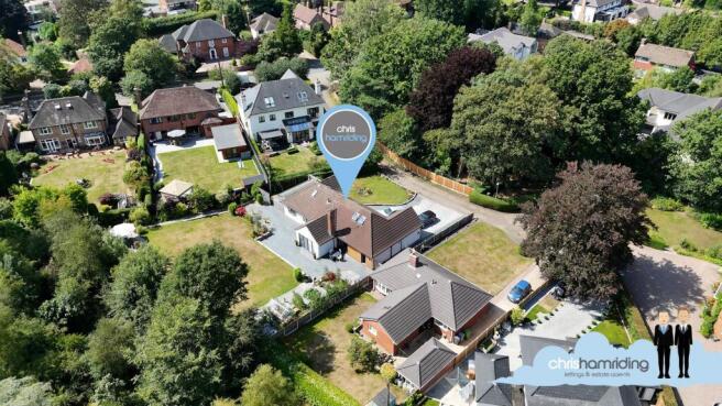 DJI_0099.00_11_09_14.Still140.jpg