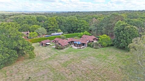 Beaulieu Road, Brockenhurst, Hampshire, SO42