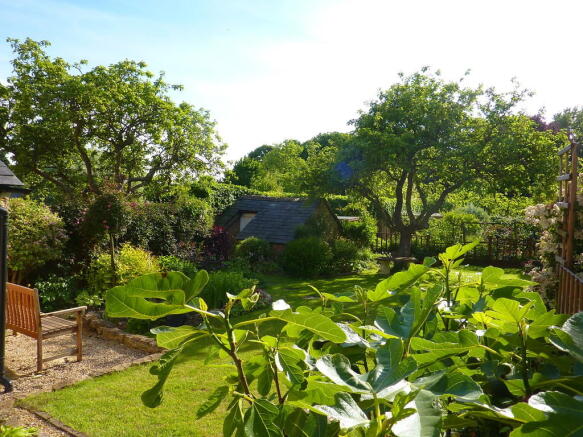 Photo 18