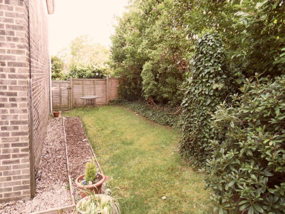 Extra image 6