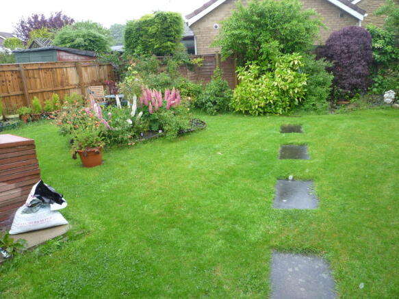 Photo 11