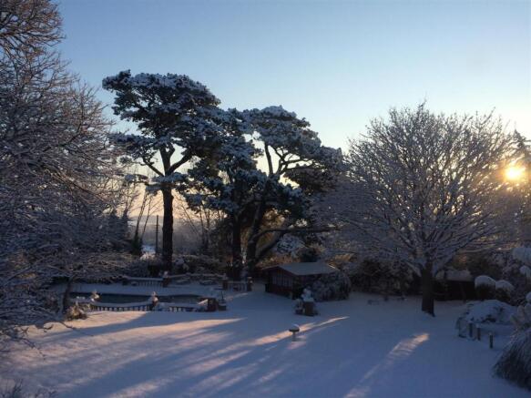 garden snow.jpg