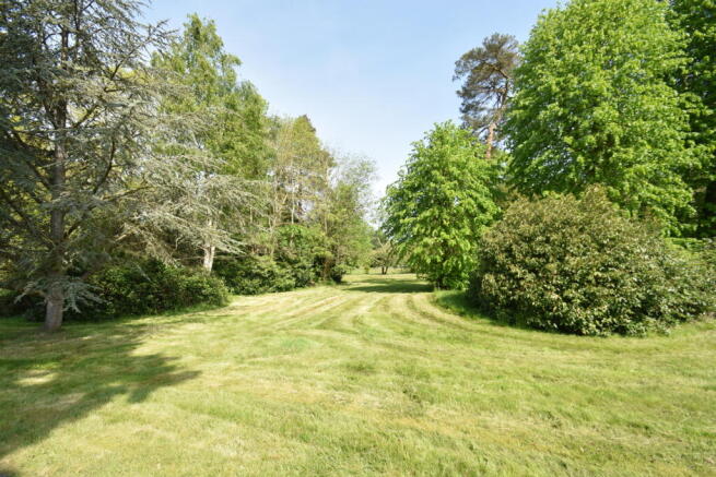 Communal Garden