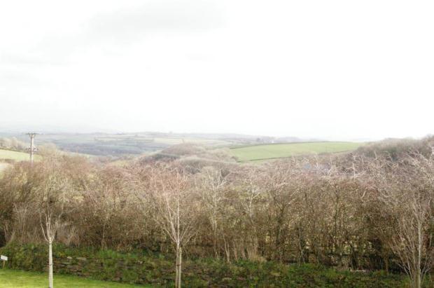 VIEW FROM BEDROOM