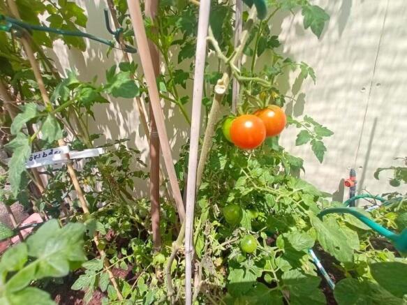 4 bedroom villa + 8m x 4m swimming pool + air conditioning + under floor heating + sauna + Title deeds in the owner?s name VAT paid Image 9999 3