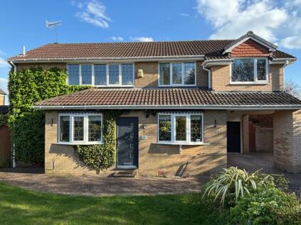 Mortain Road, Moorgate, S60