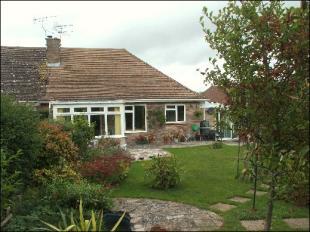 Rear Aspect