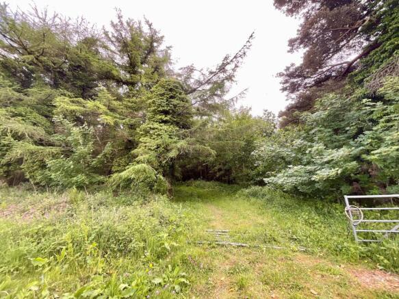 Land for sale Image 7