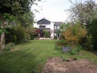 Garden 2