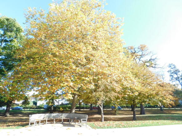 Seating Areas
