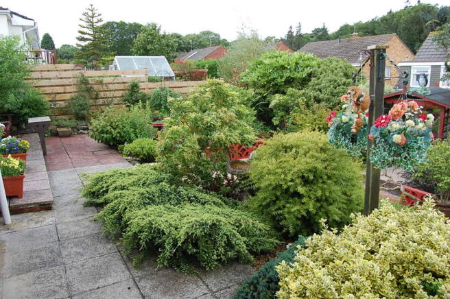 Photo 6
