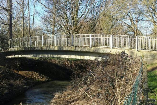 Bridge To Nature Walk