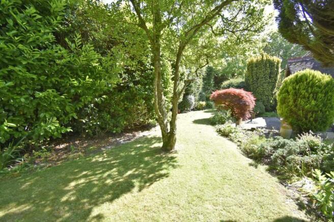 A GARDEN 3.JPG