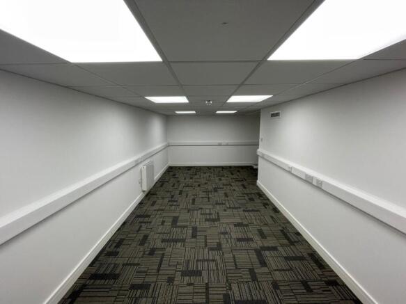 Basement Rear