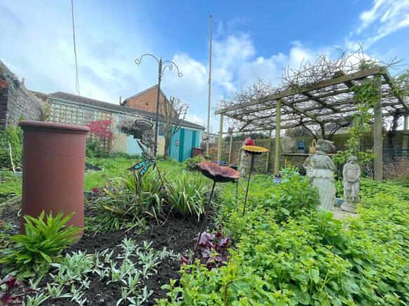 Garden (6)