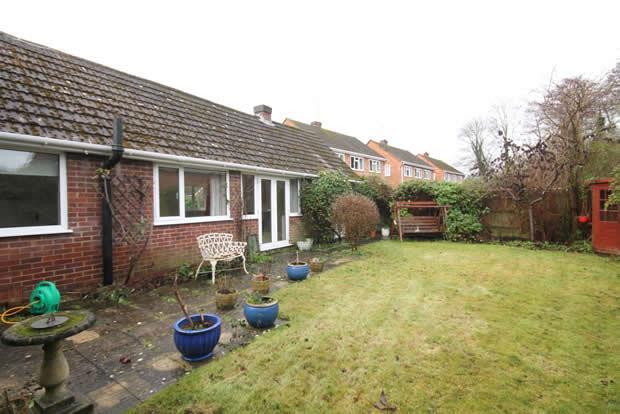 Garden c.jpg