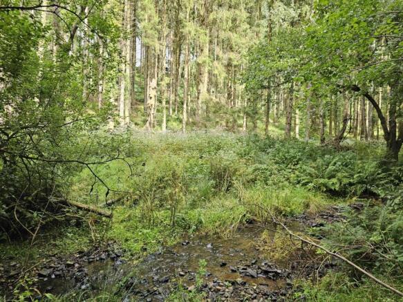 Heathcote Wood