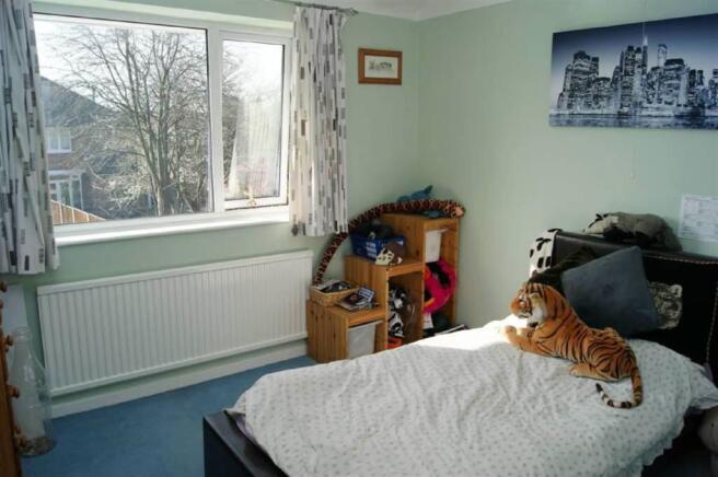 Photo 13