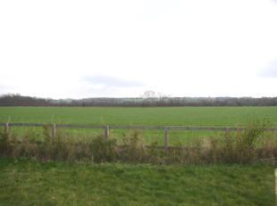 Fields To The Rear