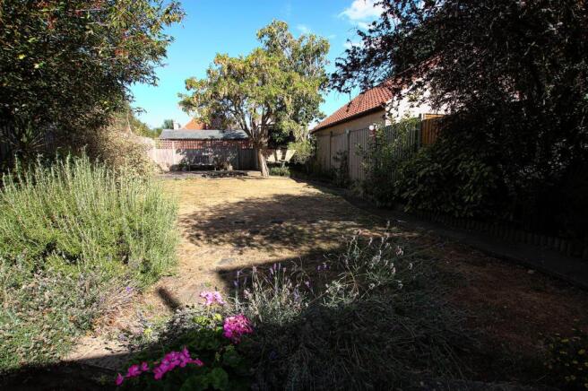 garden2.jpg