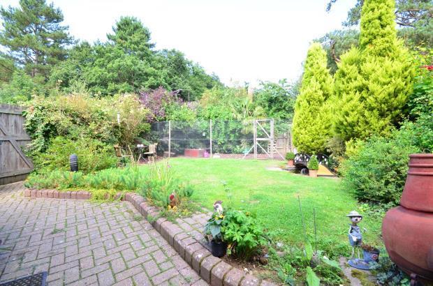 Garden Shot 2