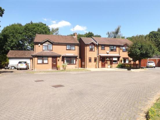 Picture No.07