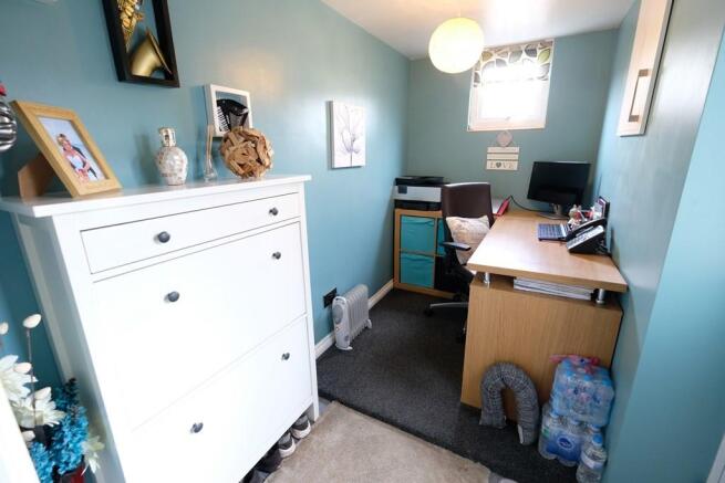 STUDY AREA