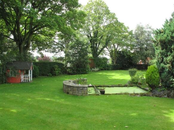 Lawn Area