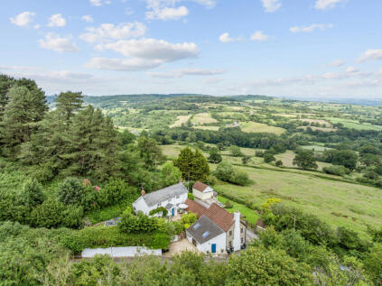 Charmouth, Bridport, Dorset