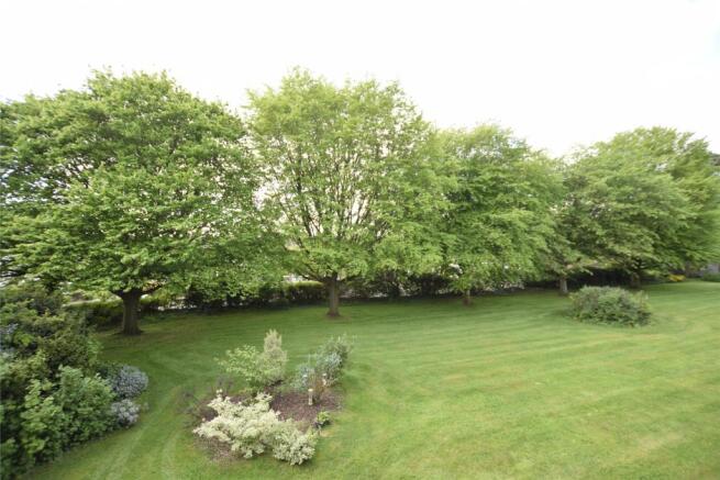 View from window