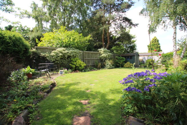 Photo 13