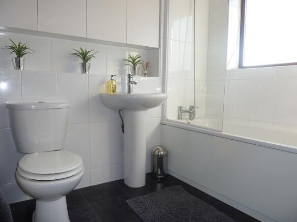 Picture 8