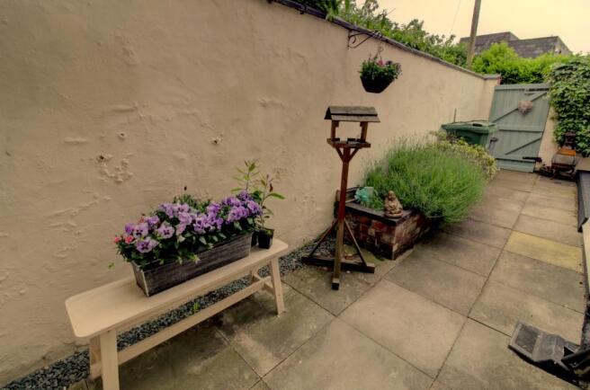 Rear Yard