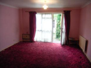 Rear Reception