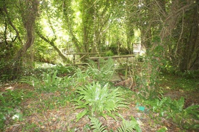 Rear Woodland