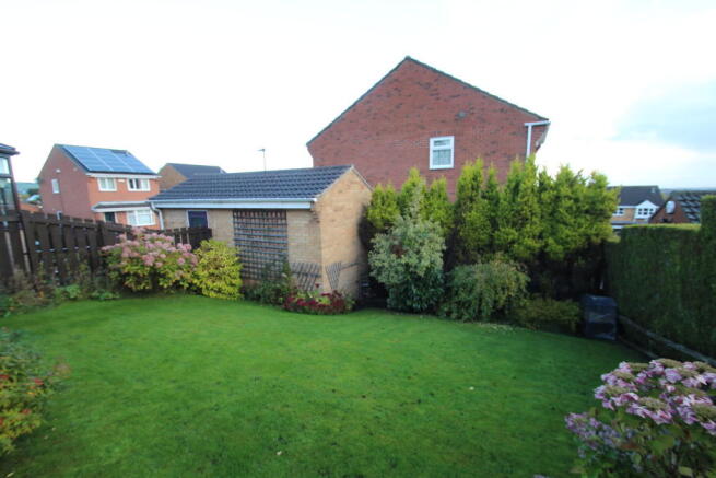Photo 11