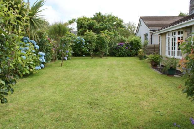 Garden 3