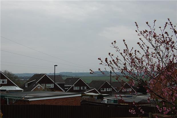 View from Back Garden